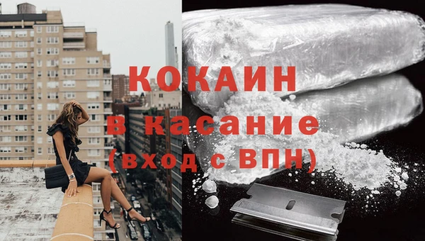 твердый Алексеевка