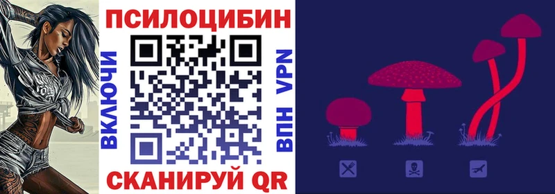 Галлюциногенные грибы Psilocybe  Омутнинск 